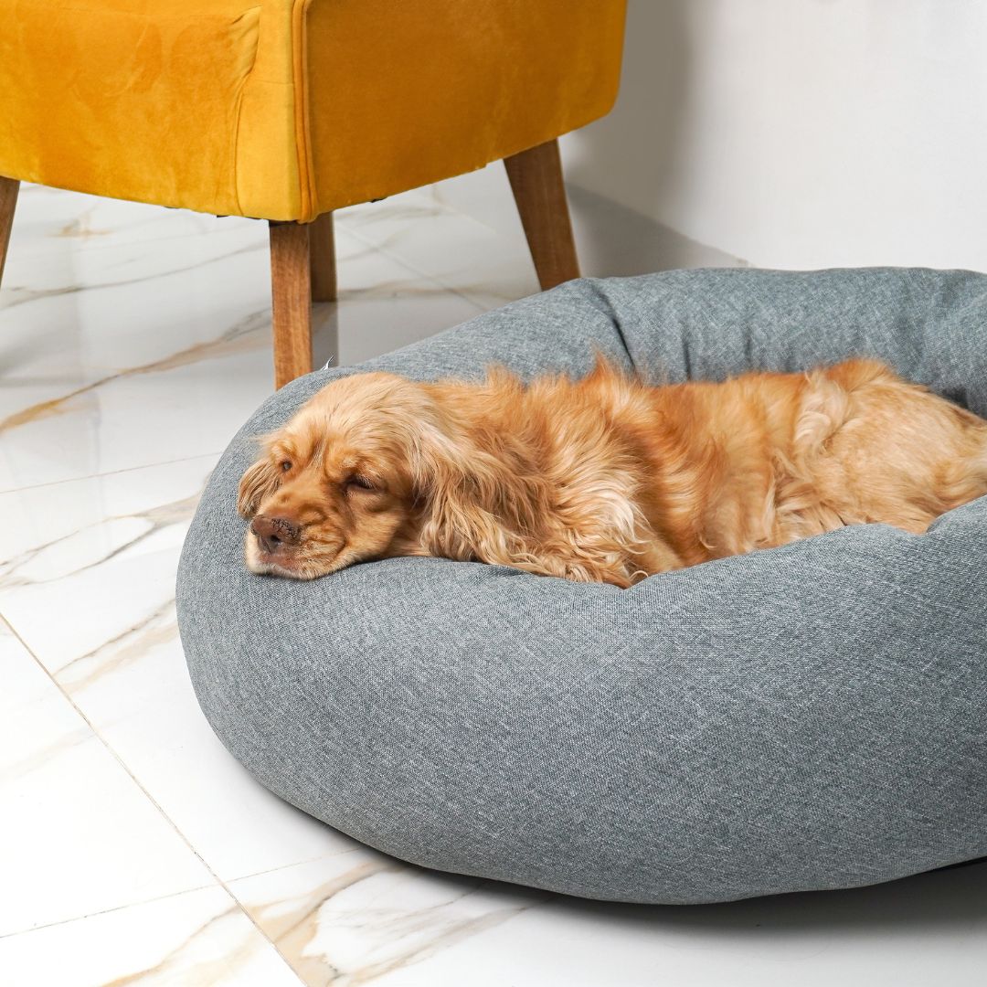 Funda Lino para Cama Antiestrés para Perros - Image 5